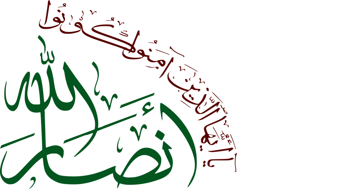 Ansar Allah (The Houthis)