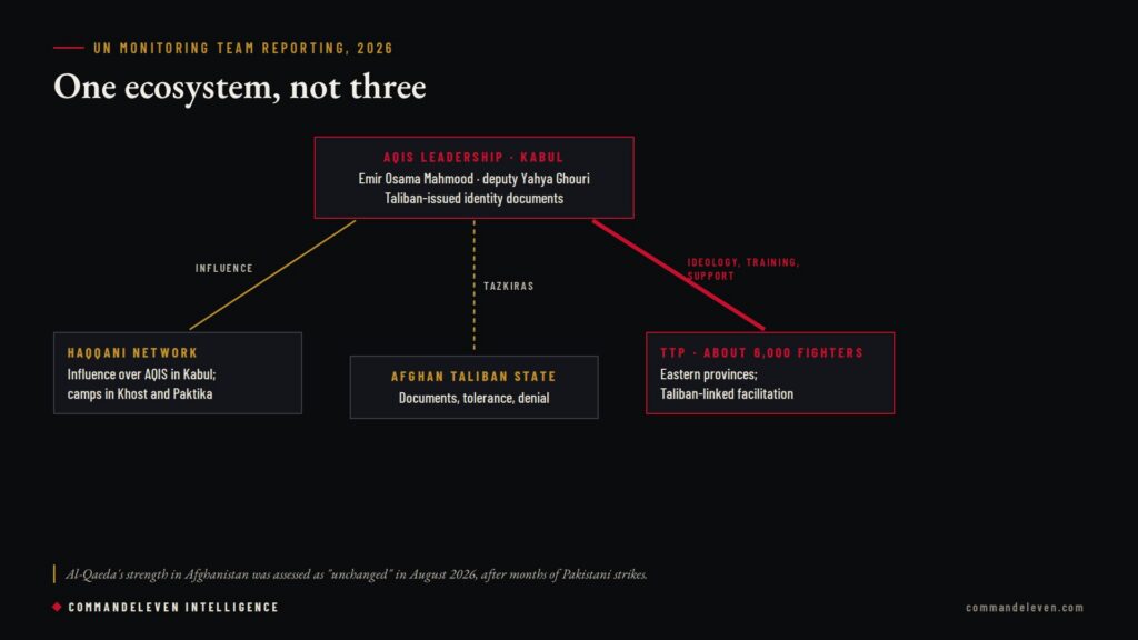 Hamza bin Laden and Al-Qaeda's Regional Re-Emergence - Network