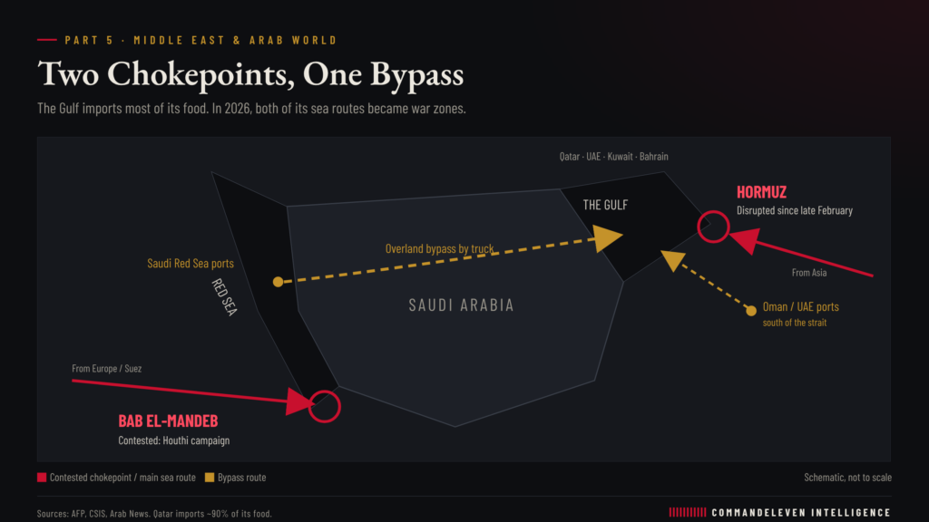 Global Food Security: The Middle East and Arab World - Two Chokepoints